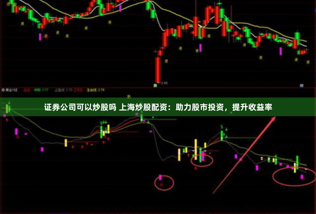 证券公司可以炒股吗 上海炒股配资：助力股市投资，提升收益率